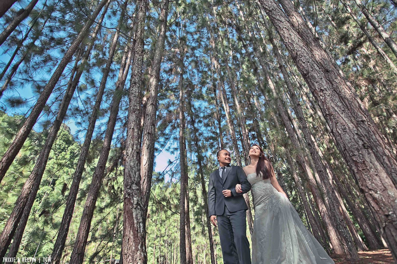 Pre-wedding photoshoot in Malaysia (FRIM, Selangor). Photo by TCW Photography