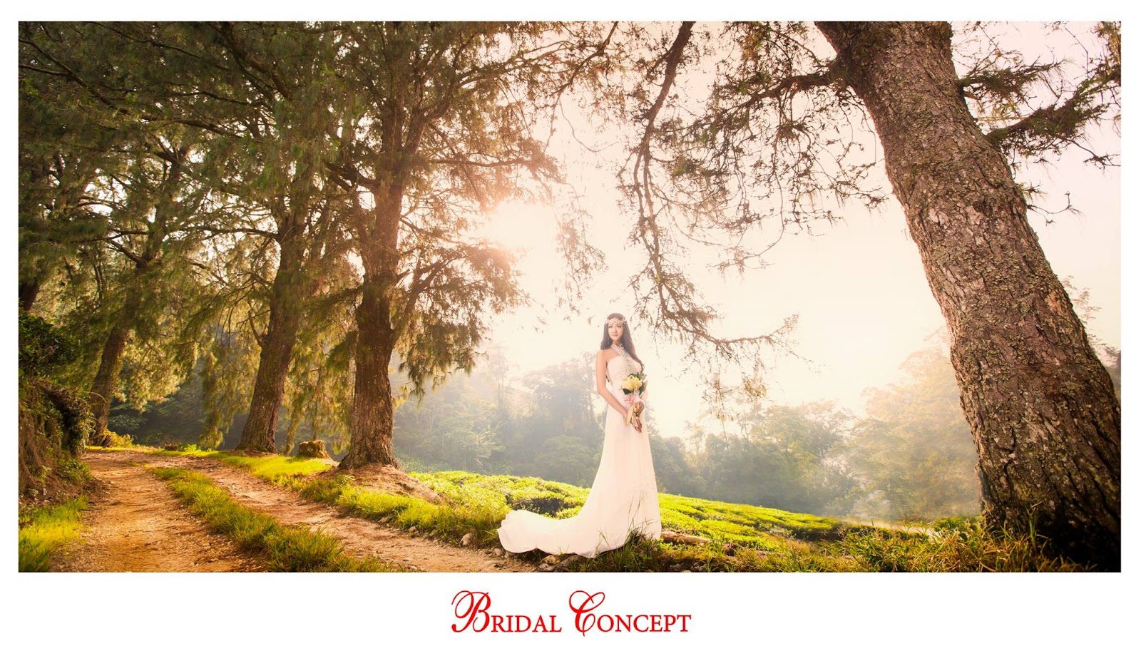 Wedding fashion photoshoot in Cameron Highlands. Photo by Bridal Concept