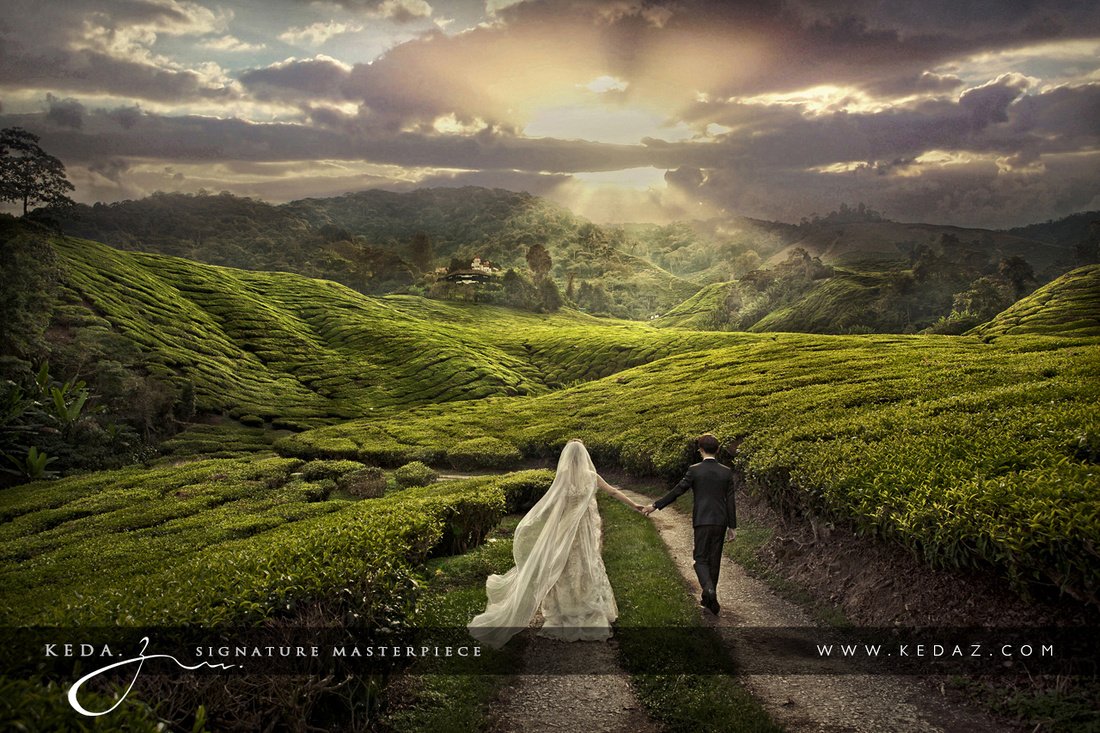 Pre-wedding photoshoot in Cameron Highlands. Photo by Keda.Z Feng