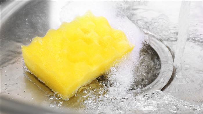 dishwashing sponge