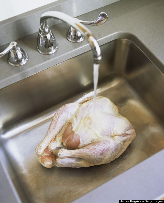 Turkey thawing in kitchen sink