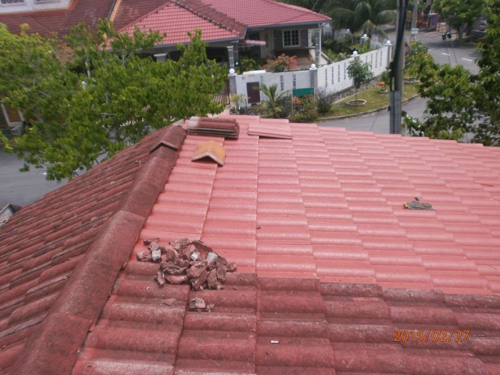 Roof shingles replacement by SWBina