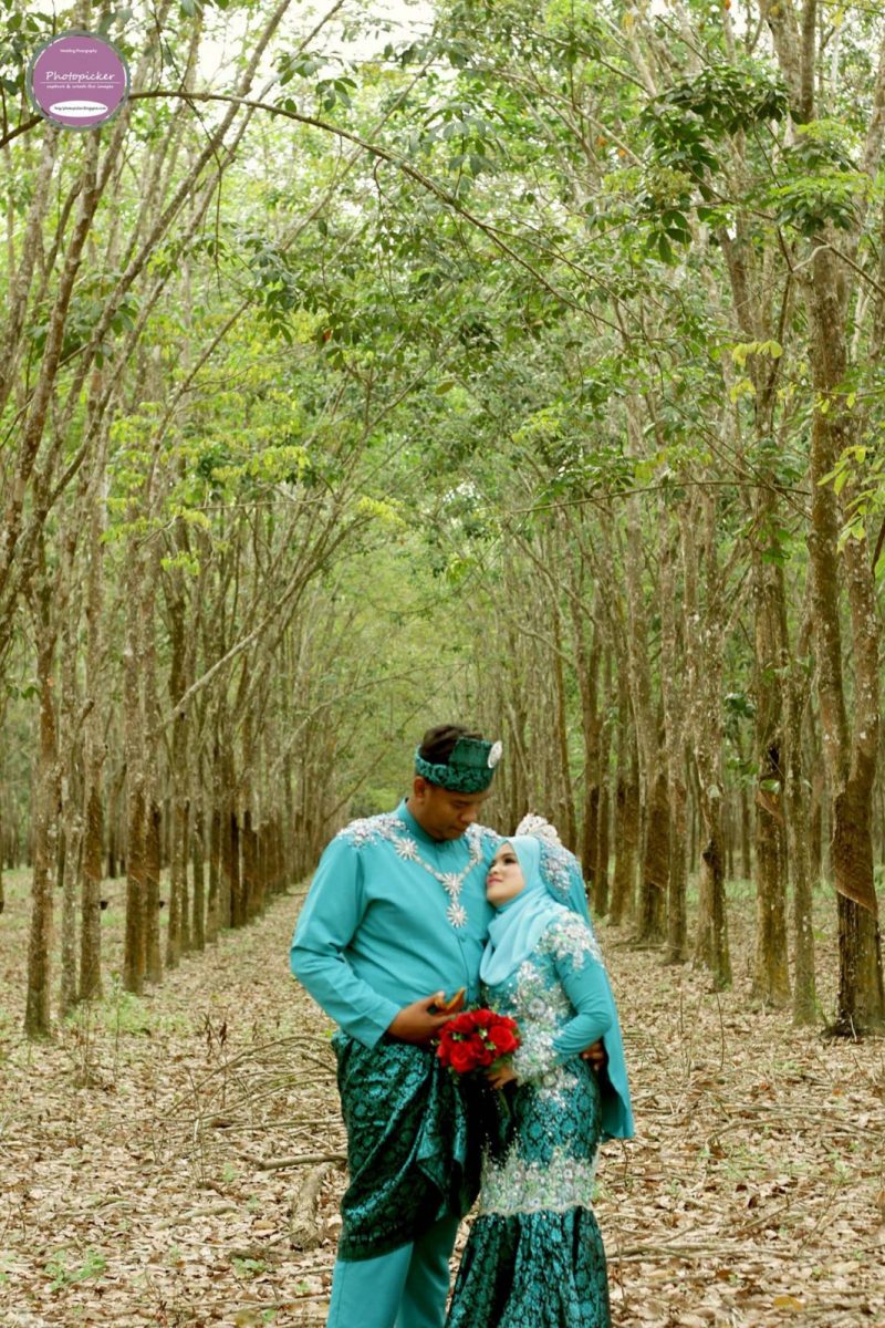 At rubber plantation, Melacca by photopicker wedding & events photography. Source. 