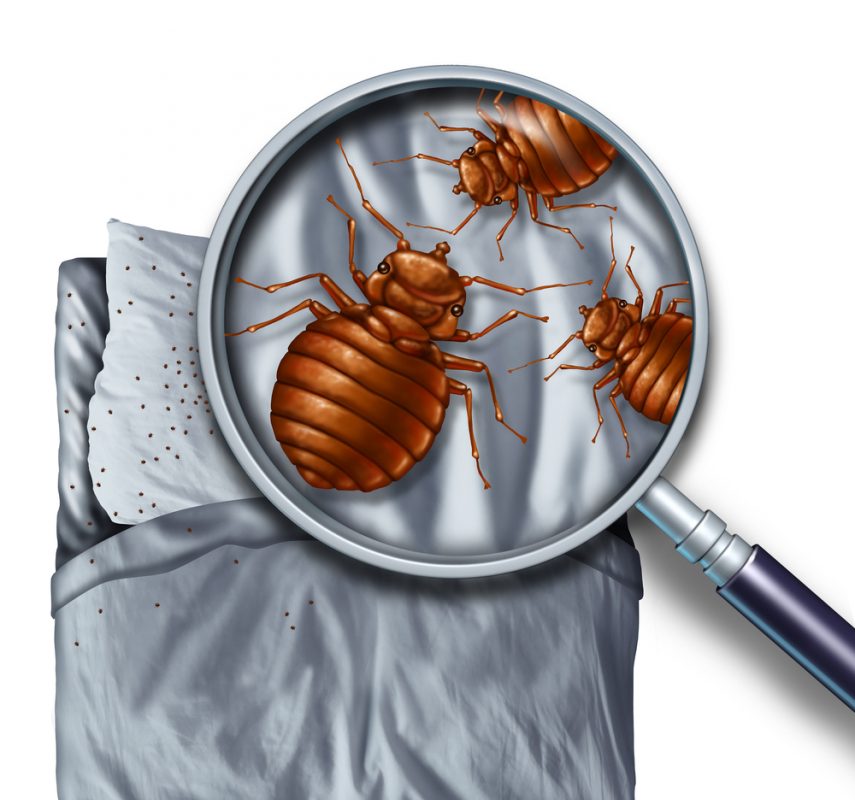 dust mites live in your mattress and their droppings can cause skin and nose irritation